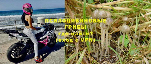 индика Михайловка