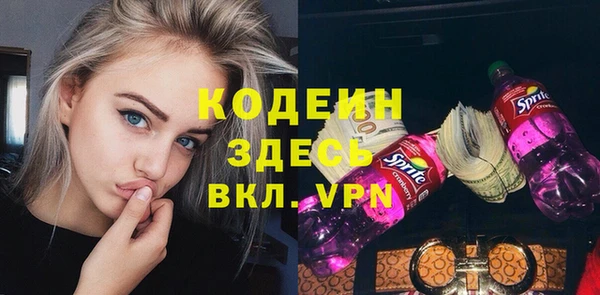 индика Михайловка