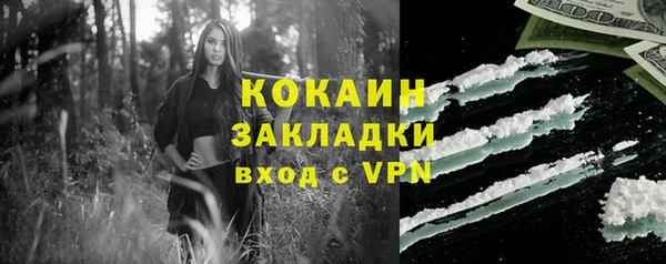 индика Михайловка