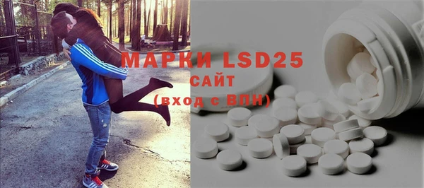 индика Михайловка